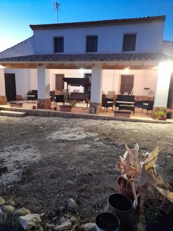 Spot image