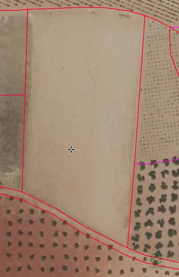 Spot image