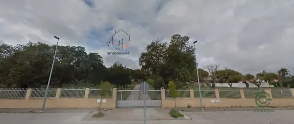 Spot image