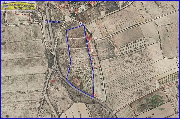 Spot image