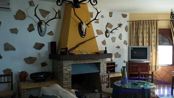 Spot image