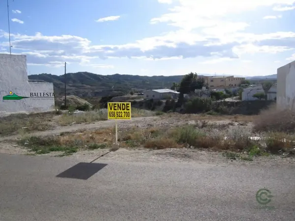 Spot image