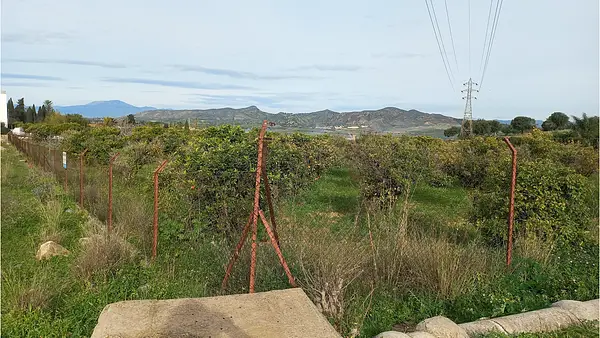 Spot image