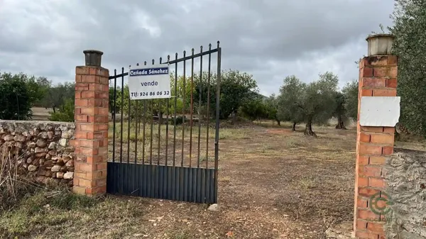 Spot image