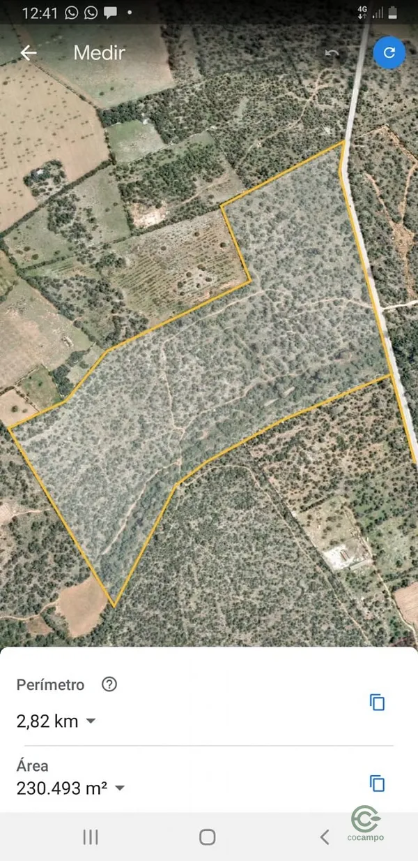 Spot image