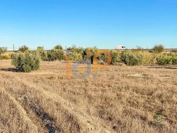 Spot image