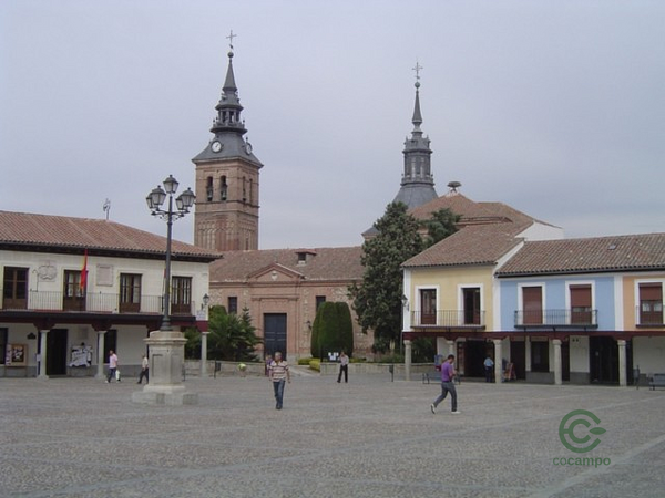 Spot image