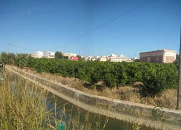 Spot image