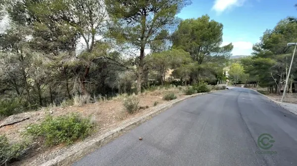 Spot image