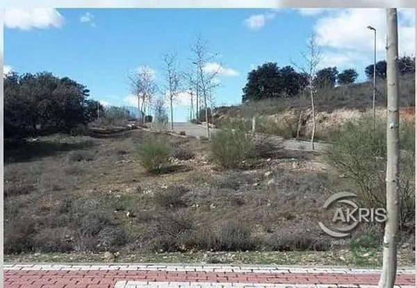 Spot image