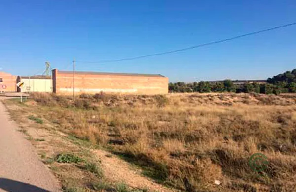 Spot image