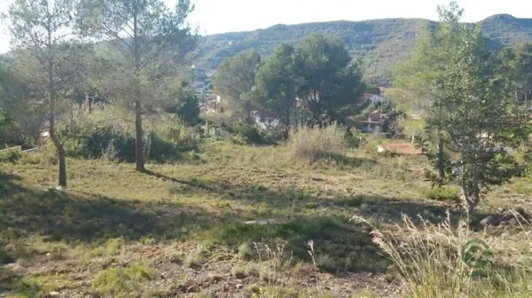 Spot image