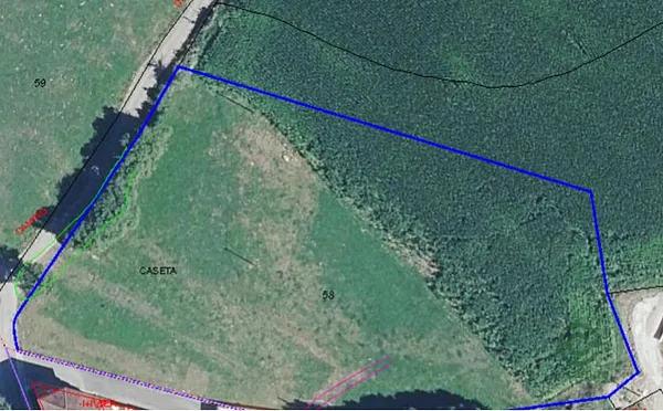 Spot image