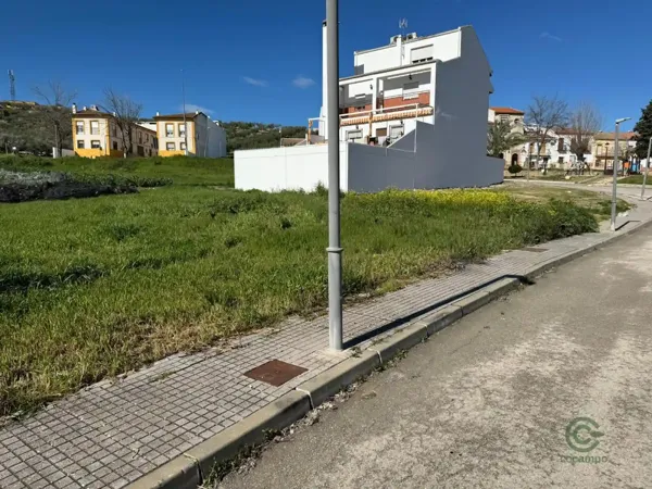 Spot image