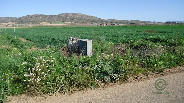 Spot image