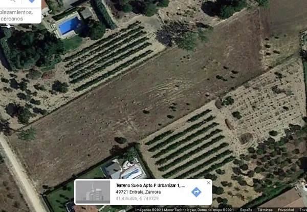 Spot image