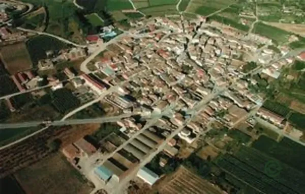Spot image