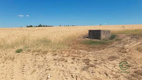Spot image