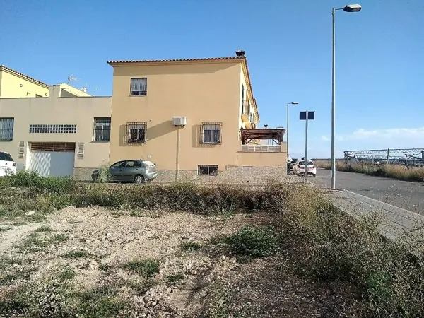 Spot image