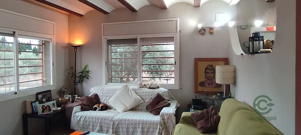 Spot image