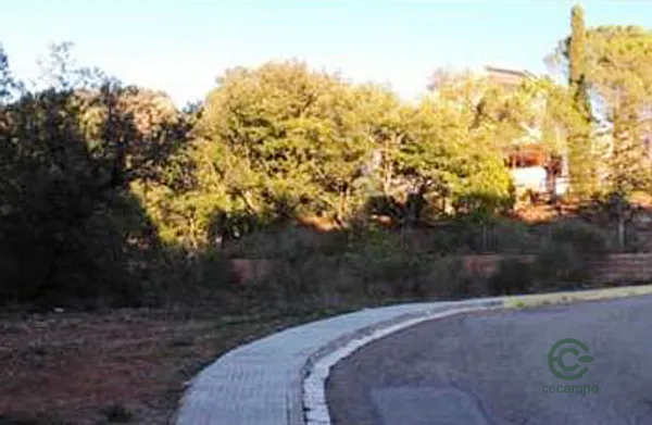 Spot image