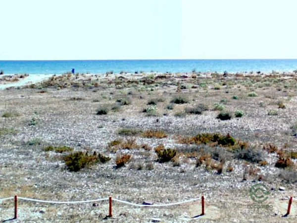 Spot image