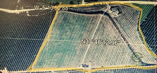 Spot image
