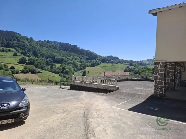 Spot image