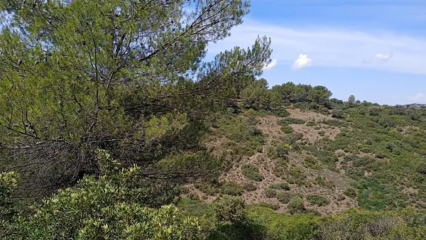 Spot image