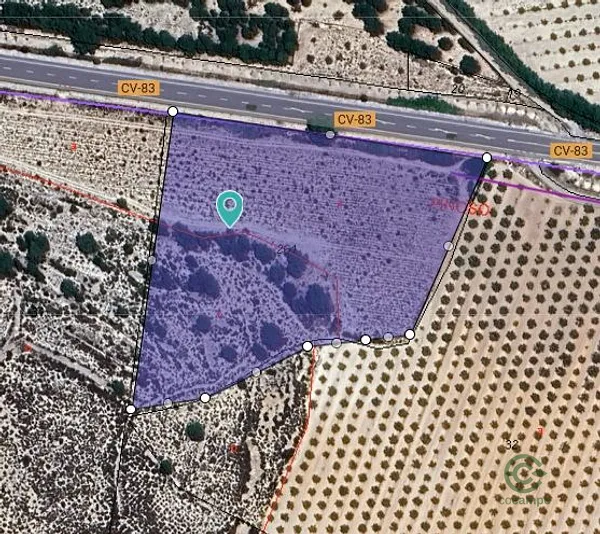Spot image