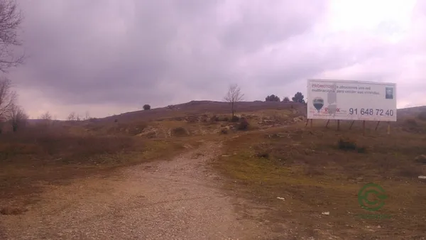 Spot image
