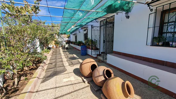 Spot image