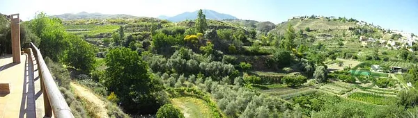 Spot image