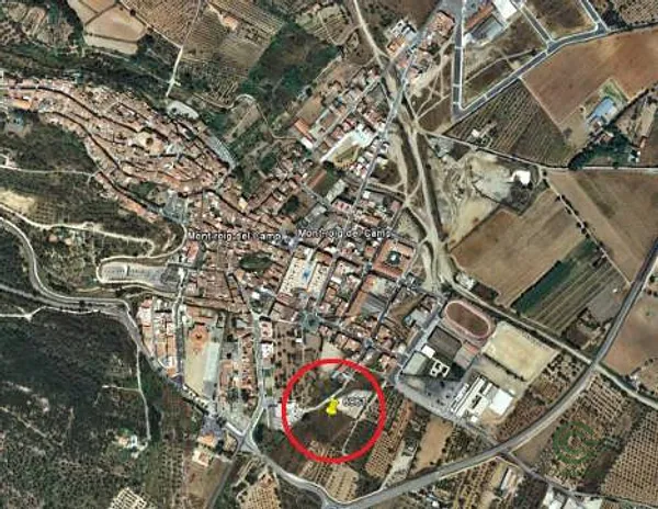 Spot image