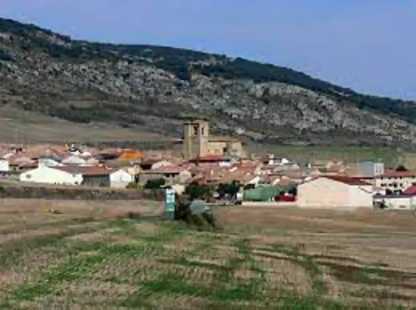 Spot image