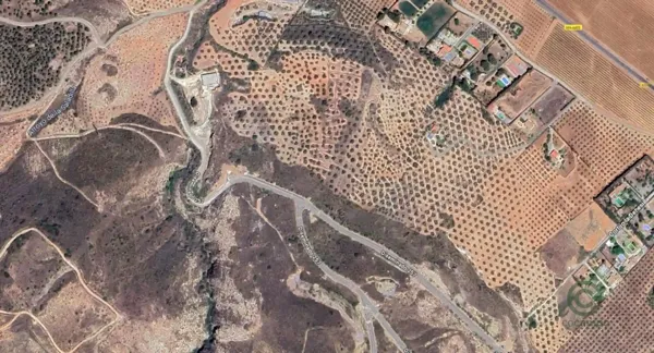 Spot image