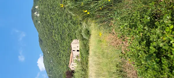 Spot image