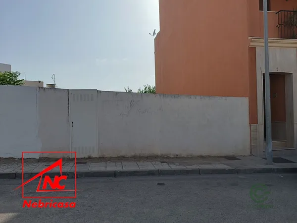 Spot image