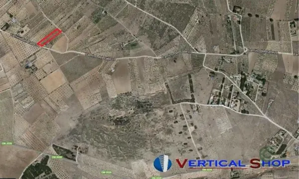 Spot image