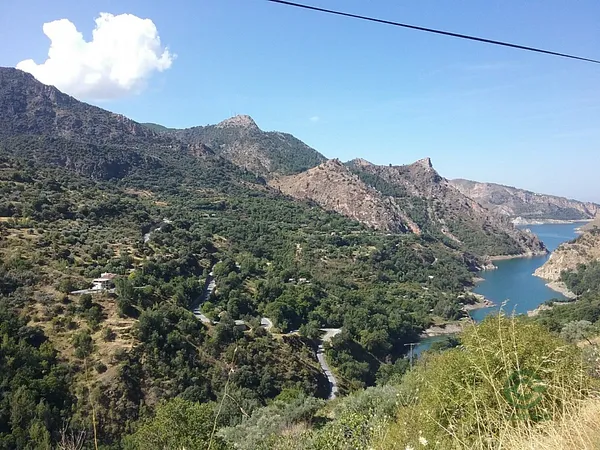 Spot image