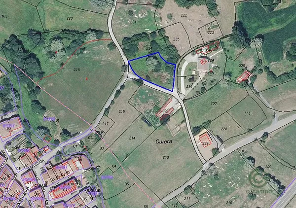 Spot image