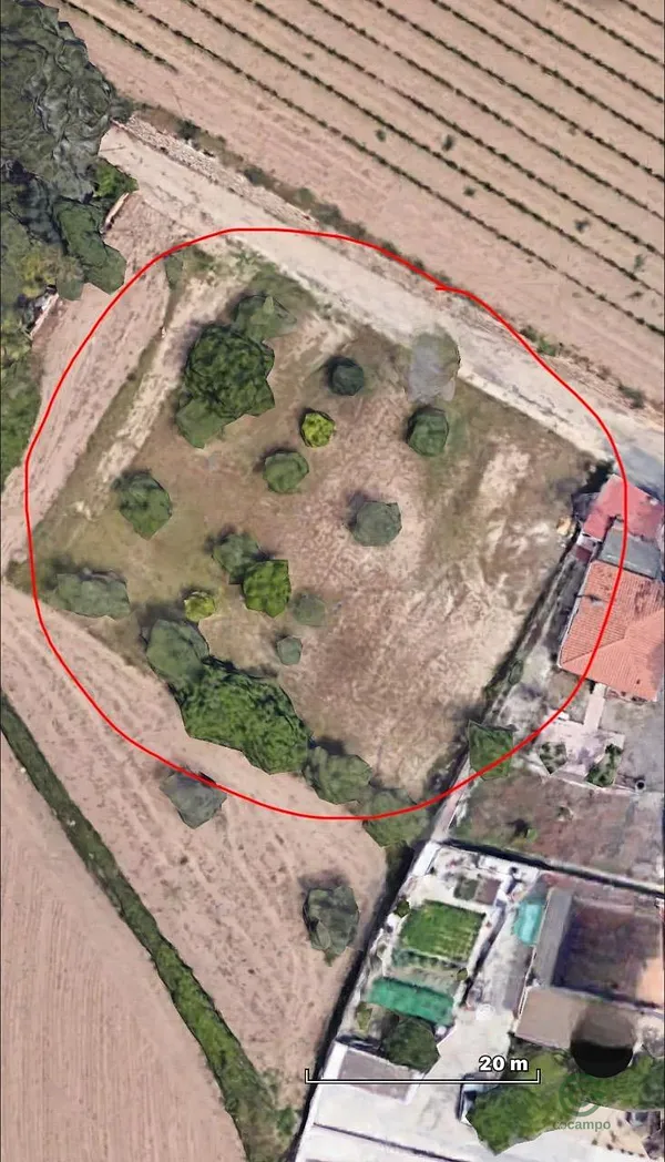 Spot image