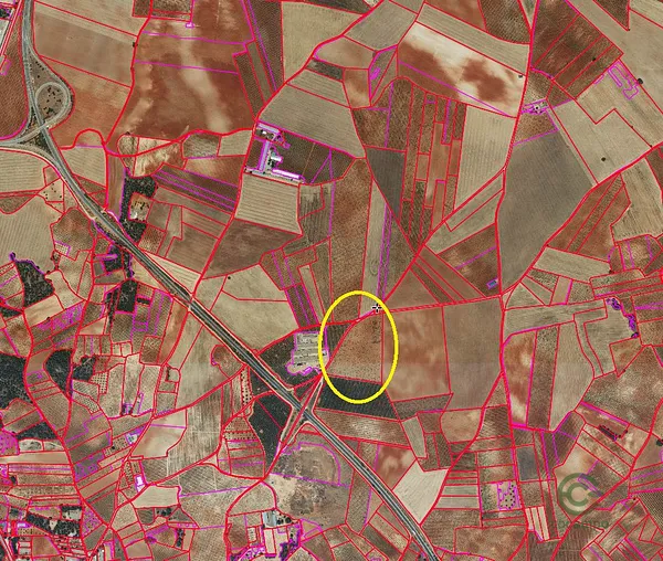 Spot image