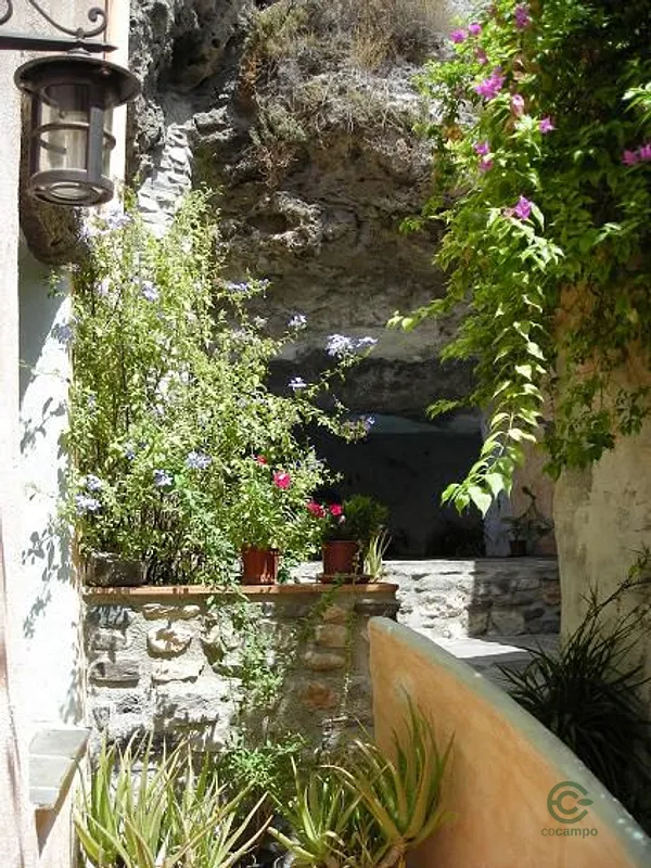 Spot image