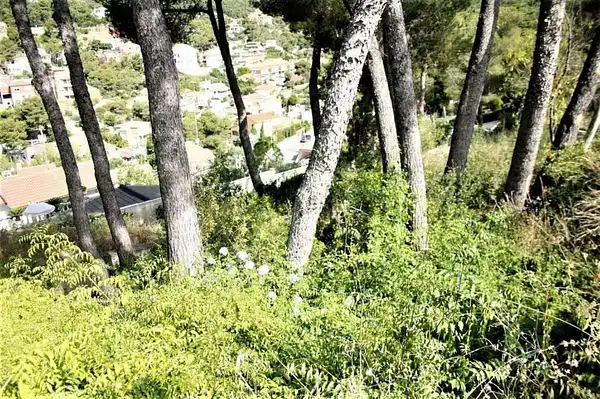 Spot image