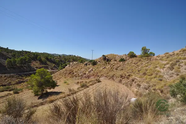 Spot image
