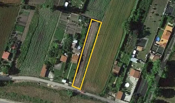 Spot image