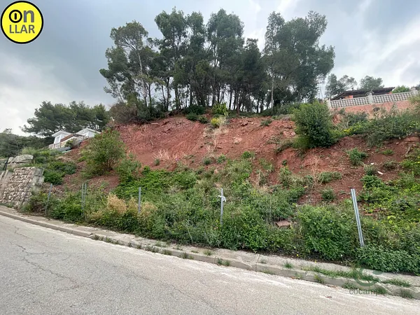 Spot image