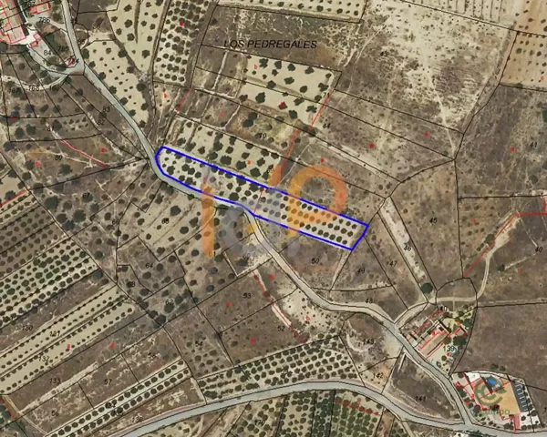 Spot image