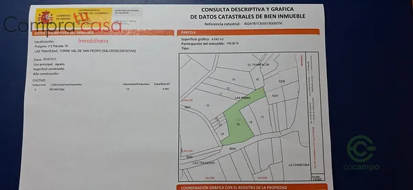 Spot image